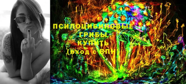 PSILOCYBIN Богородицк