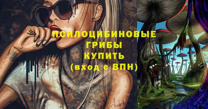 Псилоцибиновые грибы мицелий  Кемь 